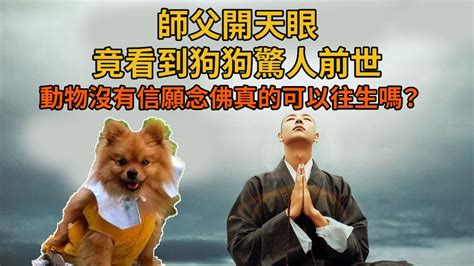 狗狗往生咒|可以幫寵物唸往生咒嗎？